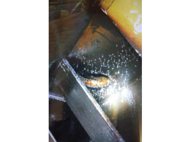 忠憲實業有限公司的實際案例圖片